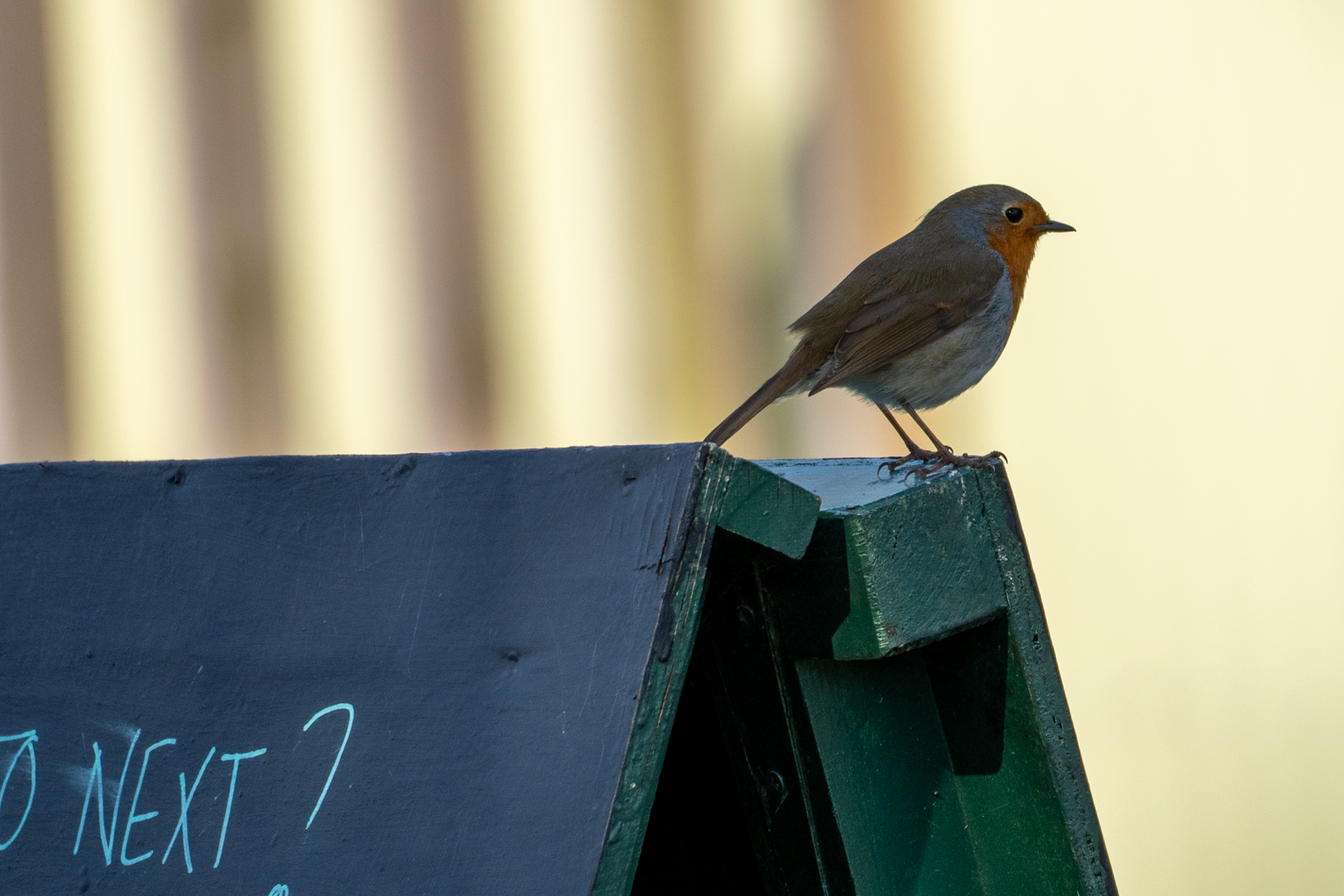 Photography by Chris Allington
